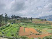 Top Kottakamboor