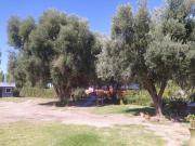 Cabañas Brisa de Montaña