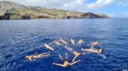 Top Funchal Top Funchal