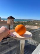 Top Santa Pola