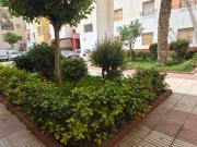 zzi home