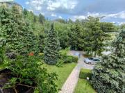 Top Zlatibor