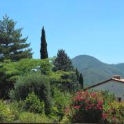 Top Quillan