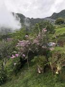 Top Gualaca