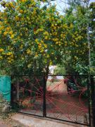 Top Kolli Hills