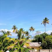 Top Alleppey
