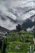 Offline musafir homestay