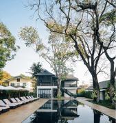 Top Chiang Rai