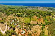 Top Agios Leon