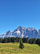 Top Borca di Cadore