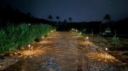 Top Athirappally