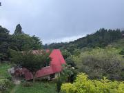 Top Gualaca