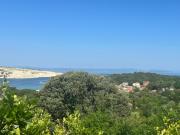 Top Lopar