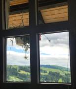 Top Verkhovyna
