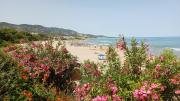 Top Alcossebre