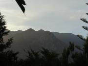 Top Marbella