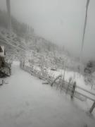 Top Kasol