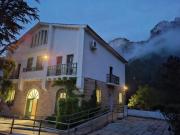 Top Cazorla