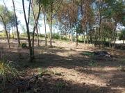 Top Rio Negrinho