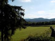 Top Medebach