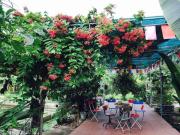 Top Ấp Thái Thương
