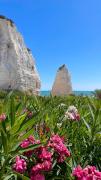 Top Vieste