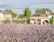 Top Valensole