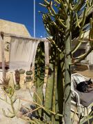 Top Nadur