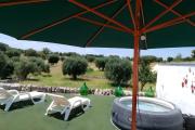 Top Crispiano