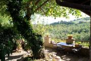 Top Gambassi Terme