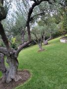 Top Agia Paraskevi