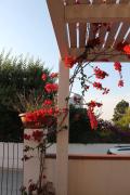 Top Peschici