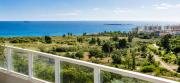 Top Canet de Berenguer