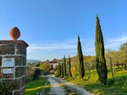 Top Caiazzo