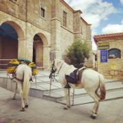Top Hornillos del Camino