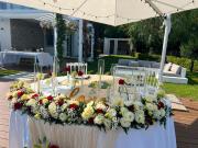 Top Villammare