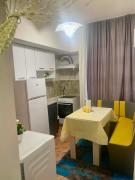 Top Centre Apartment near Vitosha and NDK