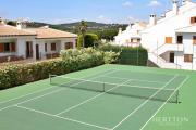 Top SAgaro