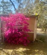 Top Homosassa