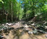 Top Catskill