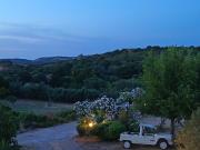 Top Arzachena