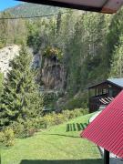 Top Vidra