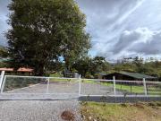 Top Rio Celeste