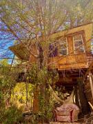 Music-Treehouse with private Lake Off Grid