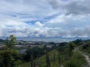 Top Cartago