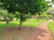 Top Coatepec