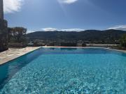 Top Punta