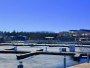 Top Innisfil