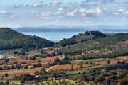 Top Agello