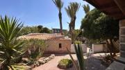 Top Favignana